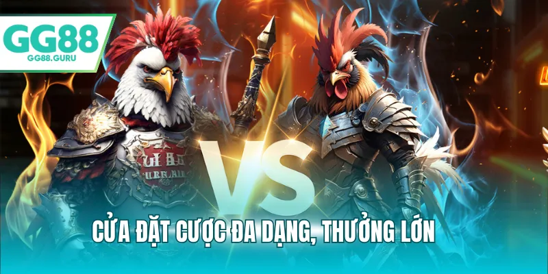 Cửa đặt cược đa dạng, thưởng lớn